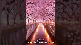   كتب المحب إلى الحبيب رسالة   للأحنف بن قيس   بصوت الأخ نواف حفظه الله   دندنها