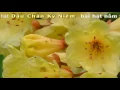 Download Lagu Karaoke Li n Kh c Nh c S ng Bolero Tr T nh c Bi t Vol 1 c Tuy n Ch n Nh ng B i H t Hay Nh t 720