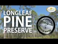Longleaf Pine Preserve