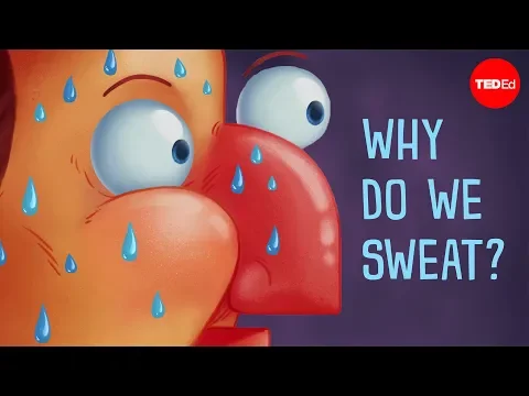 Download MP3 Why do we sweat? - John Murnan