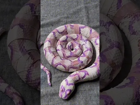 আজ কী বানালাম 😳 #shortvideo #minivlog