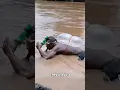 Download Lagu The Strangest Way of Scuba Diving for GOLD in Mali! 🤯