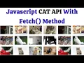 Javascript Cat API With Fetch Method By NonTechBg
