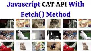 Javascript Cat API With Fetch Method By NonTechBg