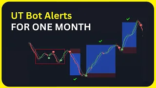 I Tested UT BOT ALERTS TradingView Strategy For An ENTIRE MONTH 