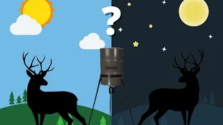 When Should I Set the Deer Feeder Time