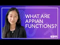 What are Appian Functions Introduction to the Series