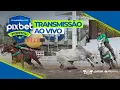 Download Lagu VAQUEJADA  AO VIVO | PARQUE DOS EUCALIPTOS - MATARACA - PB |  CAMPEONATO PIXBET PORTAL 2025