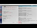 Demo on exploiting a format string vulnerability