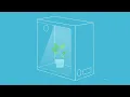 Indoor Grow Basics Positive Neutral and Negative Pressure
