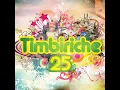 Timbiriche - Besos De Ceniza