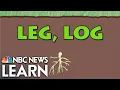 Word Roots Leg Log
