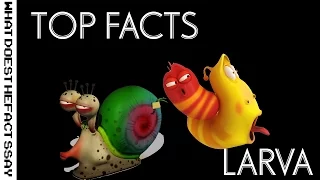 Download Top 7 Larva Animation Facts MP3