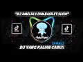 Download Lagu DJ AMELIA X PAMBASILET SLOW!!! terbaru 2021// Viral di TIKTOK!!🥵🎶