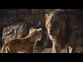 Download Lagu The Lion King - Op Zoek Naar Een Brul (NL gesproken) - Disney NL