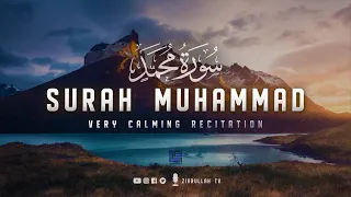 Surah Muhammad سورة محمد Calm Your Heart With Beautiful Recitation Zikrullah TV 