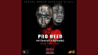 hatshantoda feat ramzeey 