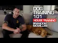 Dog Training 101 House Training Brandon McMillan