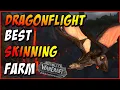 BEST Dragonflight Skinning Farm WoW Dragonflight Best Gold Farm