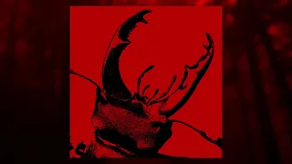  full album stream bias flashbang