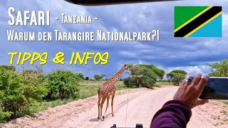 Safari in Tansania: Tarangire NP Warum d Tarangire, Tipps \u0026 Infos was alles bei einer Safari wichtig