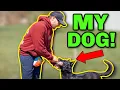 HOW I TRAINED MY PERSONAL DOG LAKOTA
