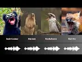 Download Lagu Creepiest Animal Sounds You’ve Never Heard (With Audio)