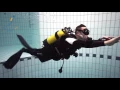 Download Lagu PADI Open Water Diver By Pretaplonger.com ...