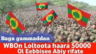 OMN ODUU AMMEE WBOn Loltoota Haaraa 5000 Ol Eebbisiise Lola Haaraa Tigraayitti Muudate Nov 8 2025 