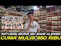 Lagu GILA ! 300 EKOR MURAI MH NON GEMBUNG DIJUAL UGAL2AN DIKIOS ALHAMDULILLAH HARI INI