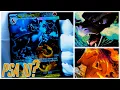 Pack Fresh But Is It Really PSA 10 Worthy Mega Charizard EX
