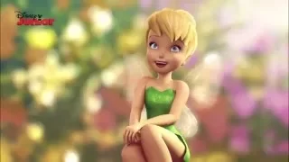 Tinker Bell The Mainland Disneykids  Tinker Bell The Mainland Disneykids