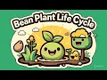 Bean Plant Life Cycle for Kids From Seed to Green Bean