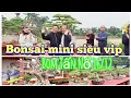 Lagu ZBV-1978.1:Dàn Bonsai mini siêu vip và bom nổ ngày 16/12 tại triển lãm CLB 1978 Lộc Châu Duy Tiên