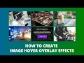 How to Create Captivating Animated Image Hover Effect Pure CSS HTML Tutorial - RizAppStudio