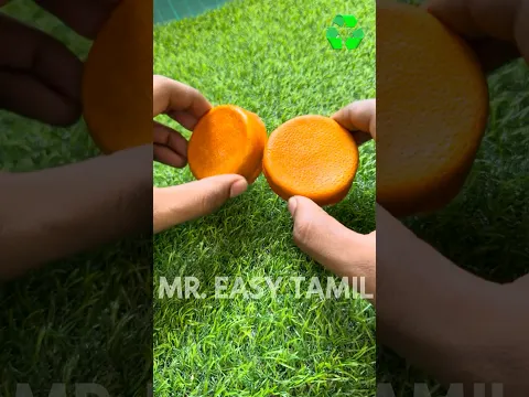💥💯Don’t throw the orange 🍊 peel , WAIT TILL END 😱/ Day 14 #shorts #craft