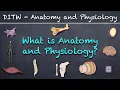 DITW - What is Anatomy and Physiology