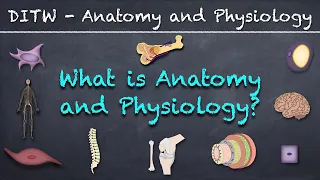 DITW - What is Anatomy and Physiology