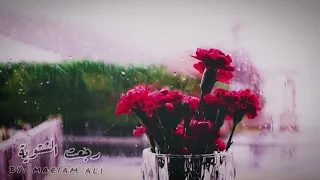 رجعت الشتوية فيروز Fairouz ياحبيبي الهوى مشاوير حالات واتس اب مطر 