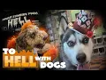 To Hell With The Dogs Hell Michigan Vlog