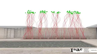 Recursive Growth