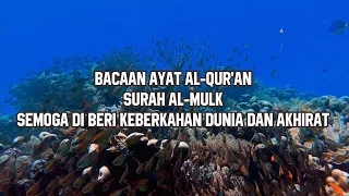 Download Bacaan Surah Al Mulk I Murottal Wirda Mansur Terbaru Merdu Bangeetttt MP3