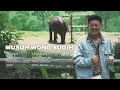 Download Lagu ost. LARA ATI - MUSUH WONG SUGIH (COVER)