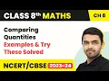 Comparing Quantities - Examples Class 8 NCERT Maths Chapter 8 2022-23