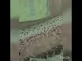extremely disturbing and scary