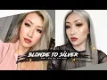BLONDE TO SILVER WITH NO DYE thenictionary