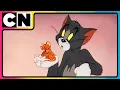 Download Lagu Tom en Jerry 😺🐭| Nibbles to the Rescue! ⛑️| Compilatie | Cartoon voor kinderen | @cnindia