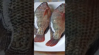 طريقتي فى تنظيف وغسل السمك بدون زفارة اكلات اكلات سريعه اشتراك لايك فولو طريقة 
