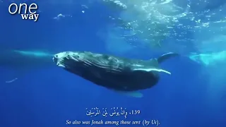 القارئ عمير شميم سورة الصافات قصة سيدنا يونس عليه السلام  دندنها