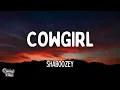 Shaboozey - Cowgirl (Lyrics)